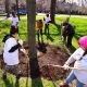 volunteer skills